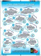 Imagen de Infografía sobre los "Derechos de los usuarios en la nube" en euskera
