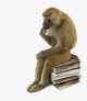 Imagen de La evolución de las especies (editoriales)