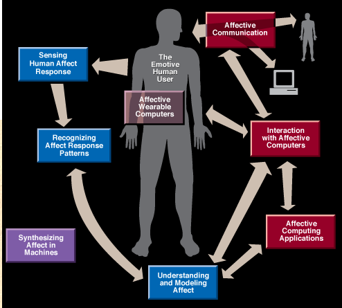 Research areas