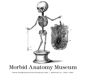 Morbid Anatomy Museum 